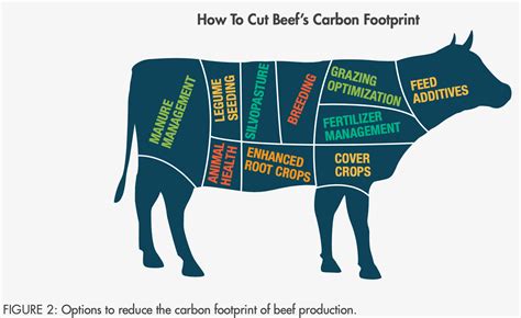 NEW REPORT: The Clean Cow | The Breakthrough Institute