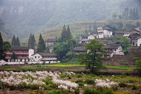 "Traditional Chinese Countryside" by Stocksy Contributor "Alice Nerr" - Stocksy