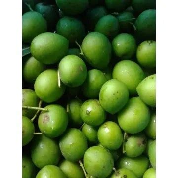 Buah Kundang Muda : Buah Kundang Muda Buah Star Buah Staq Muda Shopee Malaysia - Sara Gottschalk