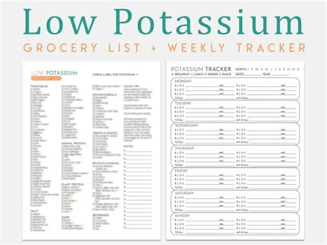 Low Potassium Diet Grocery List Weekly Tracker A4 & US - Etsy