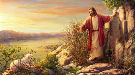 Lost Sheep Jesus On Stones Plants Jesus, HD wallpaper | Peakpx