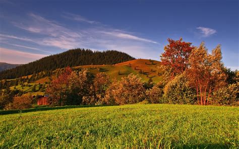 autumn, grass, trees Wallpaper, HD Nature 4K Wallpapers, Images and Background - Wallpapers Den