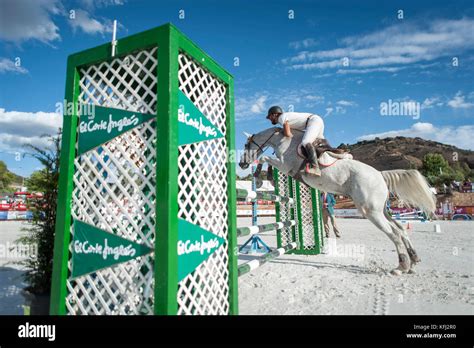 horse jumping competition Stock Photo - Alamy