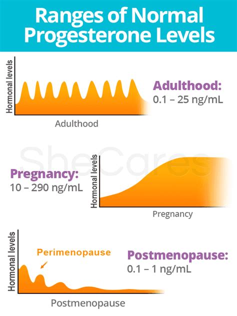 Dog Progesterone Levels Chart