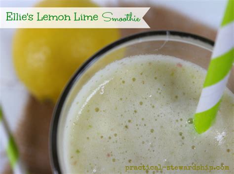 Ellie's Lemon Lime Smoothie Recipe - Practical Stewardship