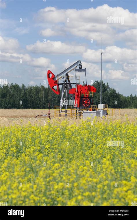 Pumpjack - oil production, oilfield pump jack Stock Photo - Alamy