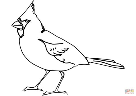 Cardinal Coloring Sheet