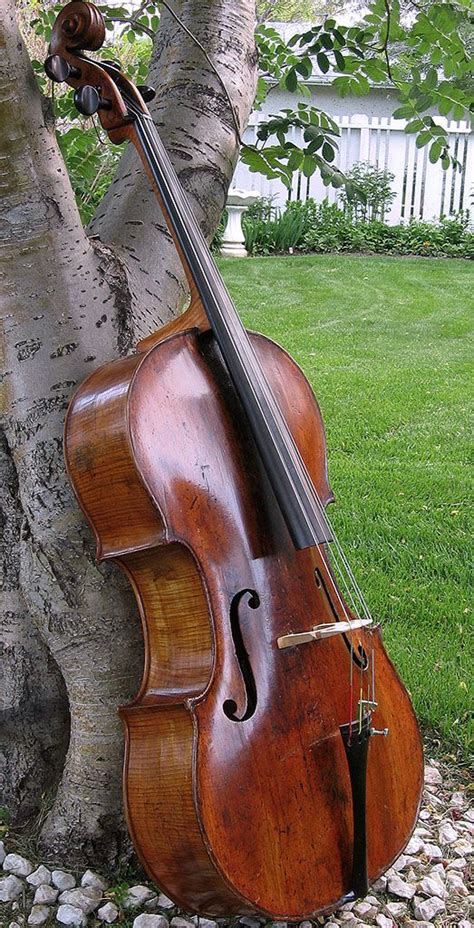 Cello, Cello music, Music instruments