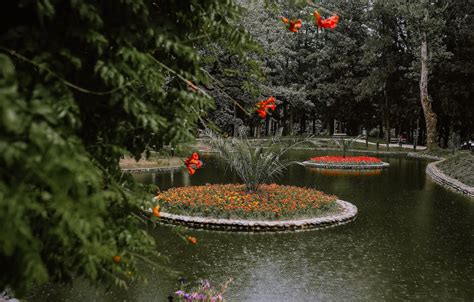 Zugdidi Botanical Garden - European Route of Historic Gardens