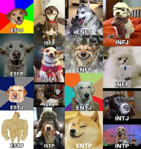 Mbti Memes Mbti Memes Mbti Memes Mbti Memes Mbti Memes