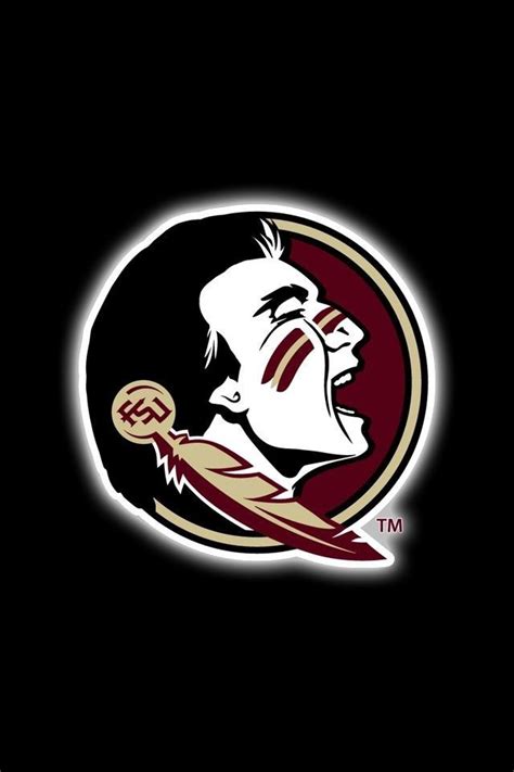 Pin by Sean Davis on FSU | Fsu football, Fsu, Fsu seminoles