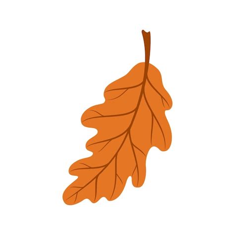 Premium Vector | Oak or acorn tree isolated orange leaf