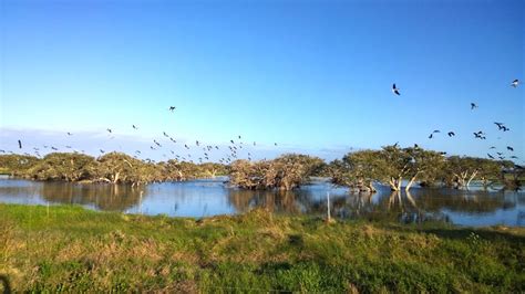 Restoring Ramsar-listed wetlands - South West NRM