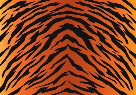 Tiger Stripe Pattern Vector Art, Icons, and Graphics for Free Download