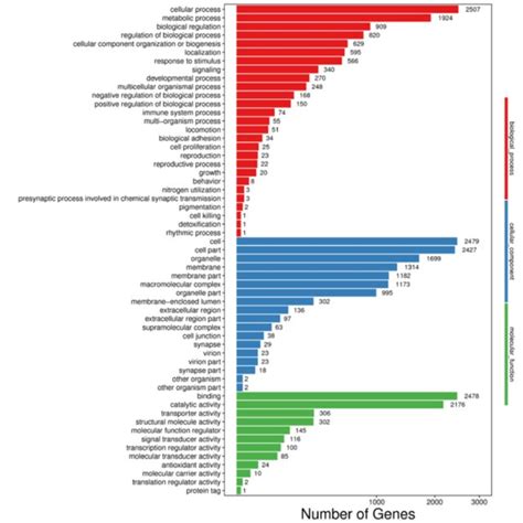 Gene ontology classifications of assembled unigenes Latrodectus... | Download Scientific Diagram