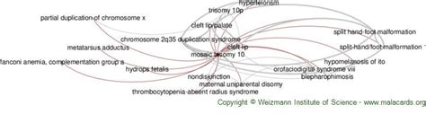 Mosaic Trisomy 10 disease: Malacards - Research Articles, Drugs, Genes, Clinical Trials