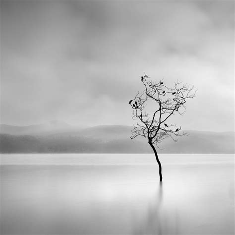 Surreal Nature Photography by George Digalakis Is Mysteriously Minimalist