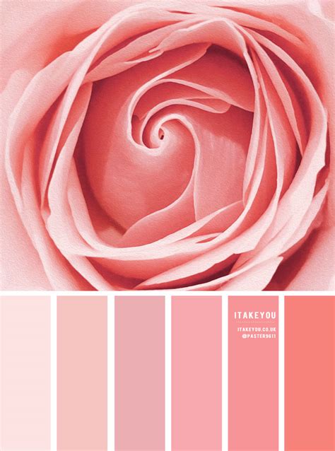 Color Inspiration : Rose Pink Tones I Take You | Wedding Readings | Wedding Ideas | Wedding ...