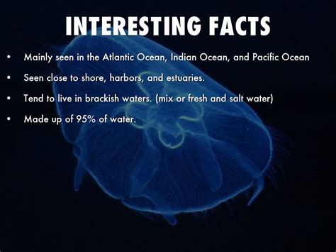 jellyfish facts