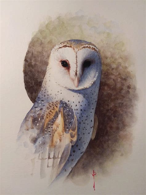 watercolor barn owl : r/painting