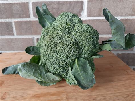 Broccoli Bunch (2 smaller heads) – Gmach Gardens