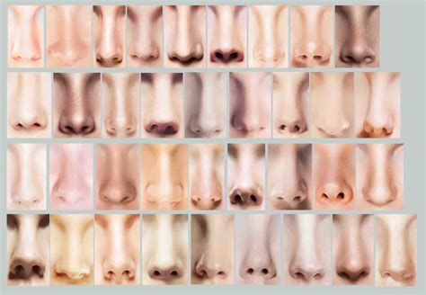 What Makes a Beautiful Nose, According to Science | Dr Doyle