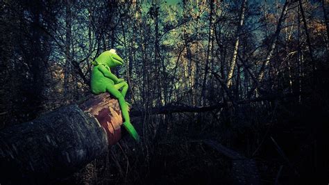 Kermit The Frog Wallpapers - Wallpaper Cave