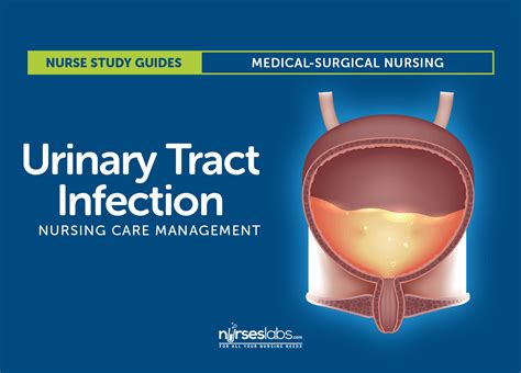 Urinary Tract Infection: Nursing Care and Management Study Guide