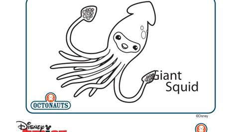 16 Giant Squid Coloring Pages - Printable Coloring Pages