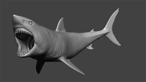 ArtStation - Great White Shark Model | Resources