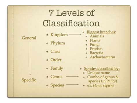 Standard Part Classification Systems: An Incomplete Solution - CADENAS PARTsolutionsCADENAS ...