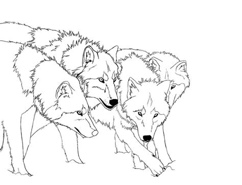 Free Printable Wolf Coloring Pages For Kids