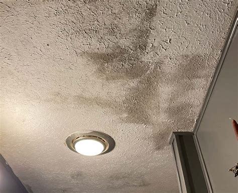 What Causes Mold On Bedroom Ceiling | Psoriasisguru.com