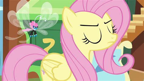 Image - Fluttershy being firm with the Breezies S4E16.png | My Little Pony Friendship is Magic ...