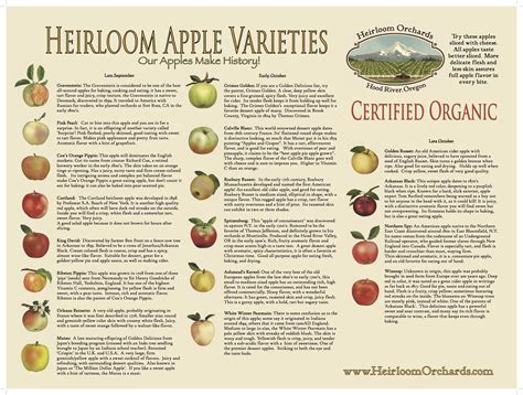 Apple Varieties Chart