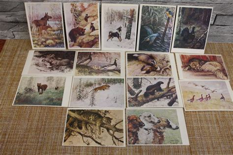 Set of Vintage Postcards With Animals 1975 Soviet Old Cards | Etsy