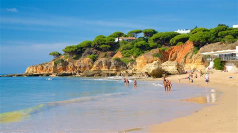 Plage Praia dos Olhos de Água location appartement de vacances à partir ...