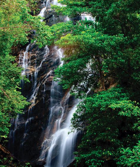 Waterfalls – Koh Phangan Thailand