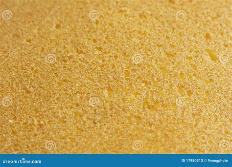 Sponge Cake Texture Royalty-Free Stock Photography | CartoonDealer.com #17980313