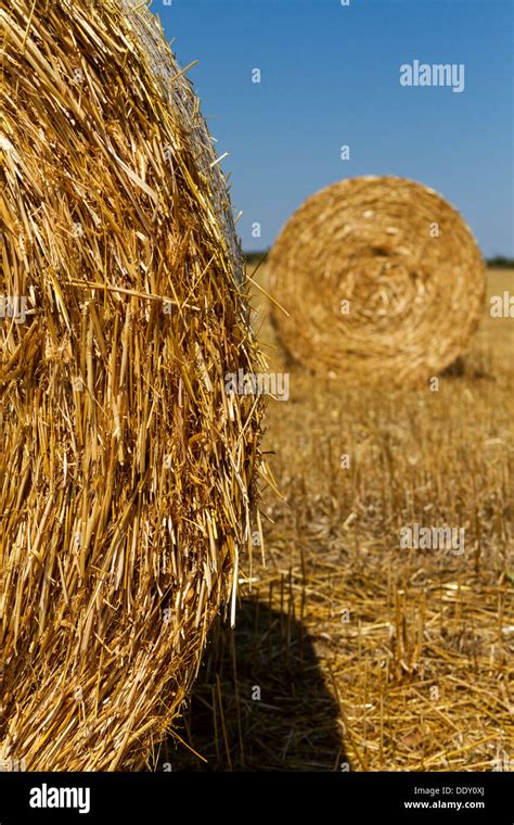 Straw bales in the light of sunset Stock Photo - Alamy