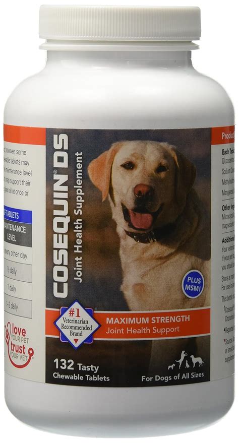 The Best Joint Supplements For Dogs 2018 [Read This Honest Review!]