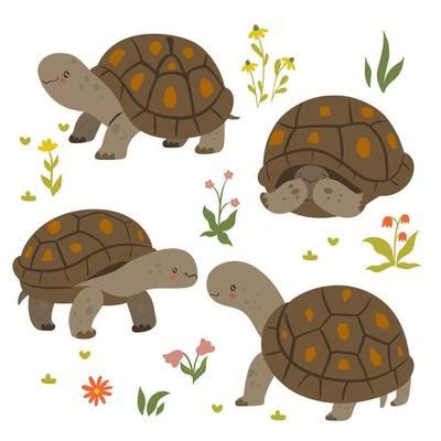 Tortoise Vector Art, Icons, and Graphics for Free Download