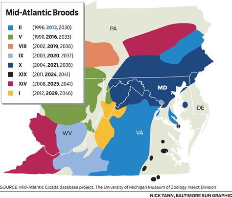 Hey, Where Are the Cicadas? : r/maryland