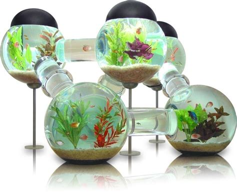 5 Cool Modern Fish Tank Designs | Designs & Ideas on Dornob