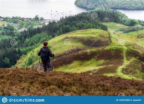 Hiking in Scotland. Lake Loch Lomond Editorial Stock Image - Image of scottish, view: 133375304