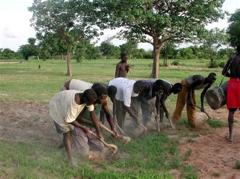 Ancient African Farming Facts for Kids