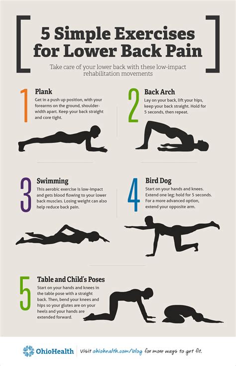 5 Super Simple Exercises for Lower Back Pain [Infographic]