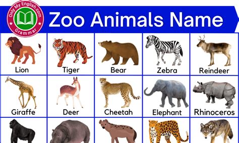 Top 112+ Animals chart with names in english - Merkantilaklubben.org