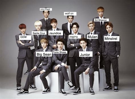 Funny Kpop Stuff - krismechently: exo members names according to...