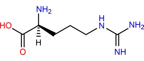 Arginine Structure - Science Notes and Projects